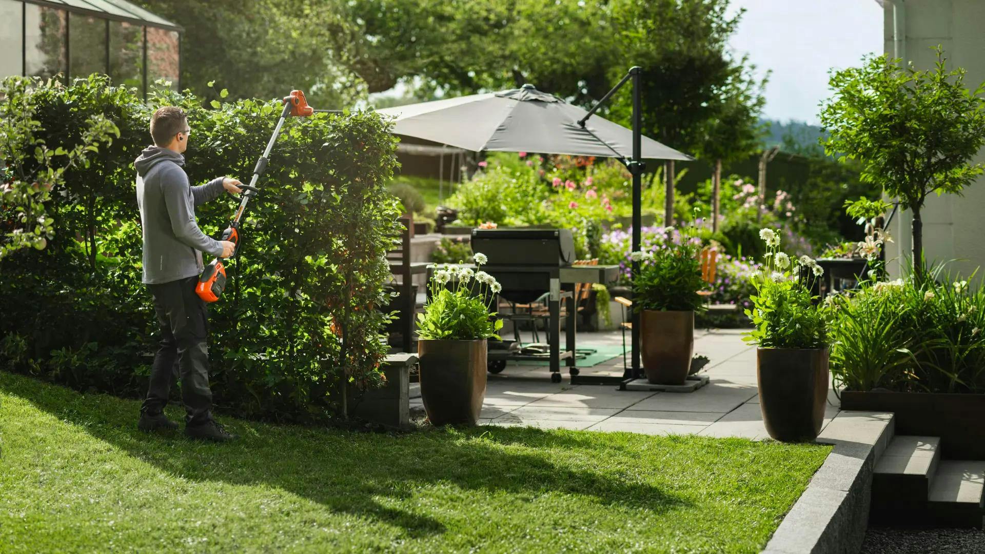 man trimming hedges in green backyard